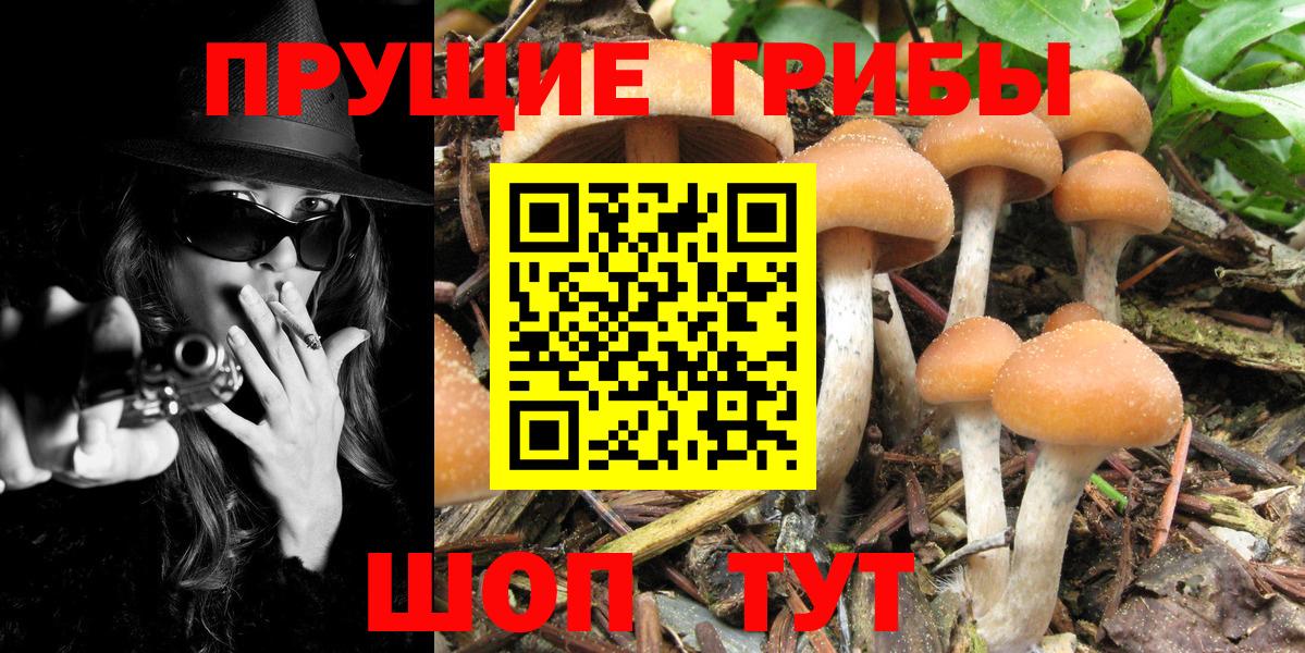 Псилоцибиновые грибы MAGIC MUSHROOMS  Вход с VPN  Городец  наркошоп  Псилоцибиновые грибы Magic Shrooms 